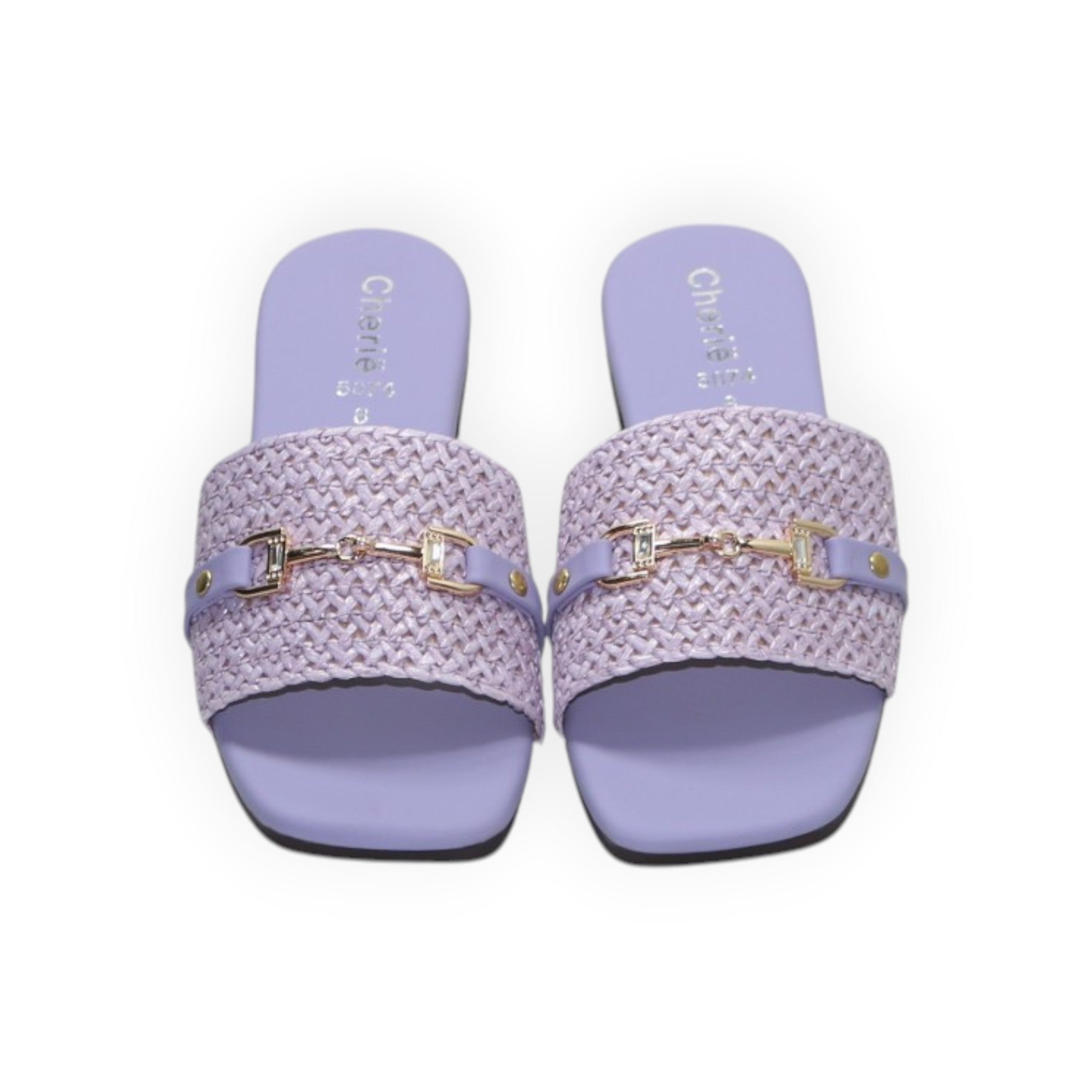 ARQS.PK lavender woven slide sandals with a gold horsebit detail and square toe design.